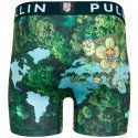 PULL IN Boxer Long Homme Microfibre FELLAS Vert