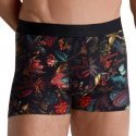 AUBADEMEN Boxer Homme Coton Modal HERB Noir Multicolore