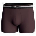 EDEN PARK Lot de 2 Boxers Homme Coton CEINTRI Fudge Marine