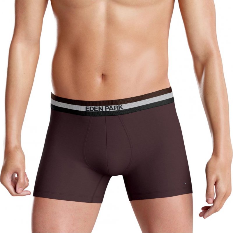 EDEN PARK Lot de 2 Boxers Homme Coton CEINTRI Fudge Marine