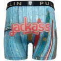 PULL IN Boxer Long Homme Microfibre JACKY Bleu Multicolore