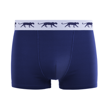 Lot de 5 Boxers homme Coton Bleu/Vert/Noir/Gris Uni - Airness