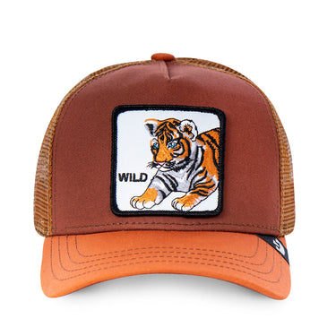 Casquette Homme WILDKITTY Marron et Orange